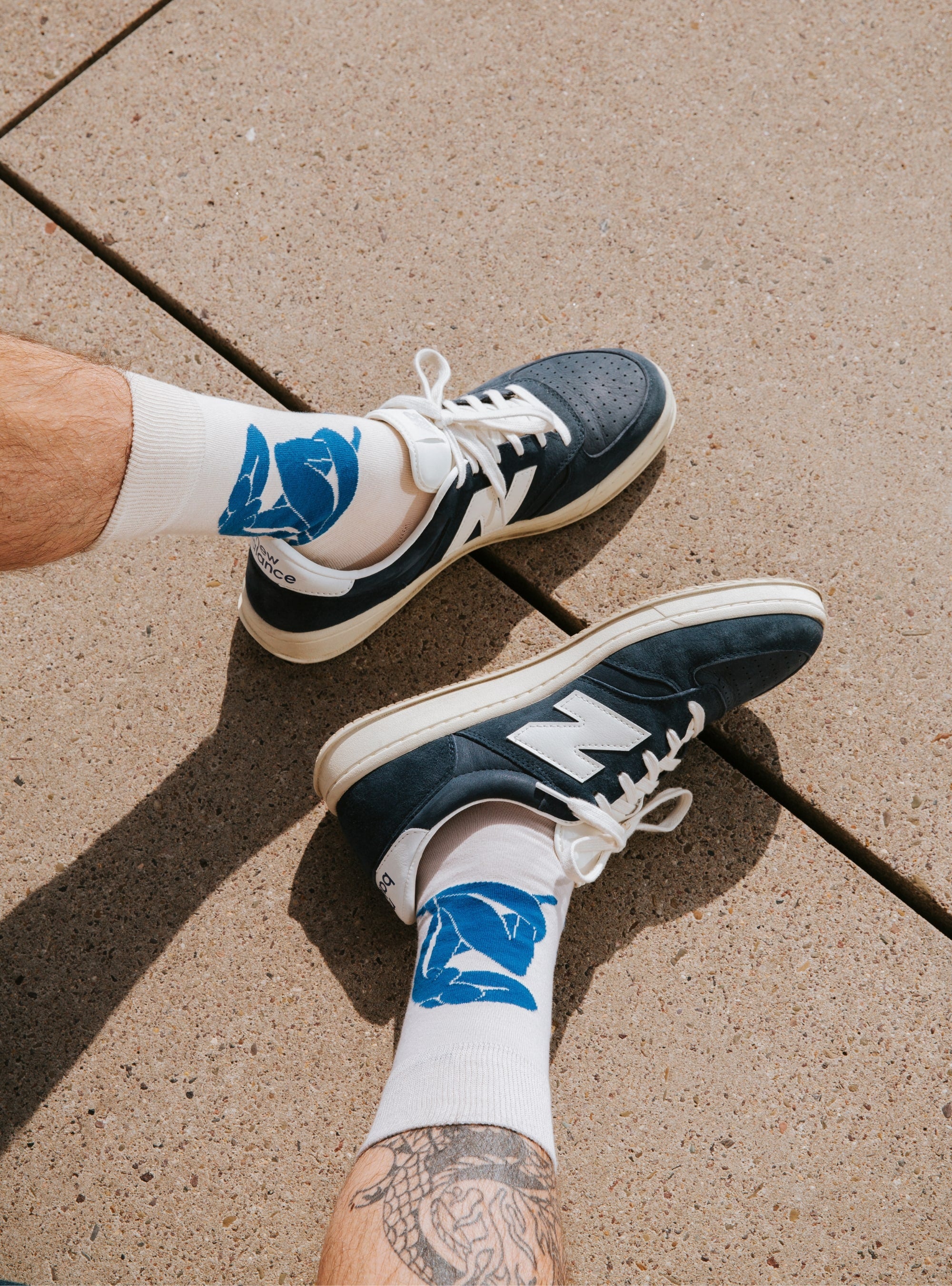 Henri Matisse 3er-Pack