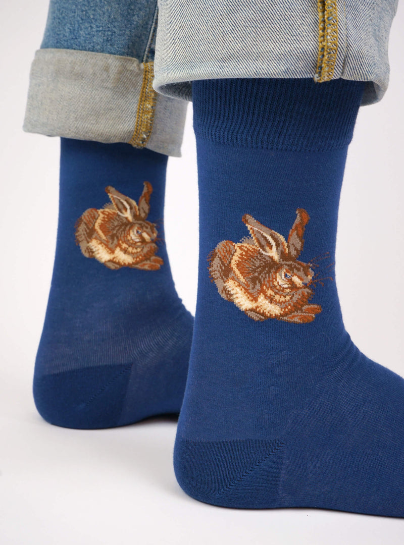 Feldhase