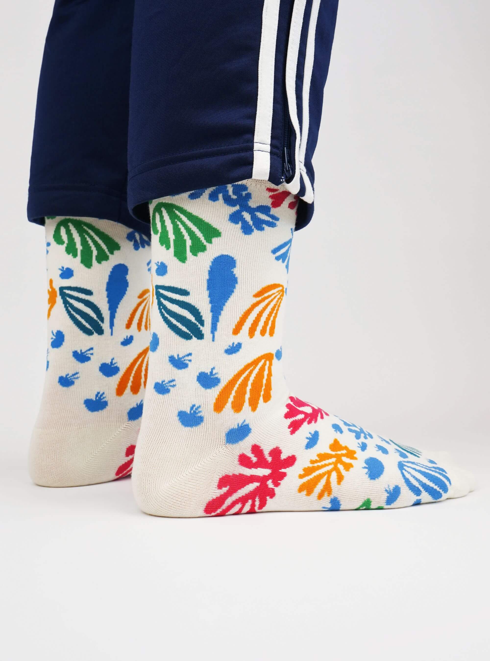 Henri Matisse Kollektion 5er-Pack