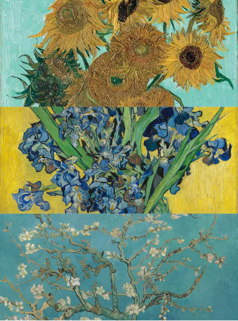 Van Goghs Blumen 3er-Pack